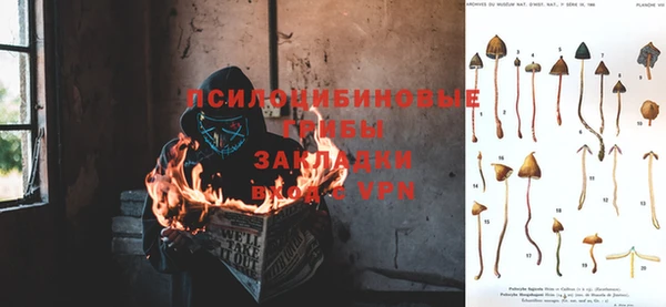мет Елизово