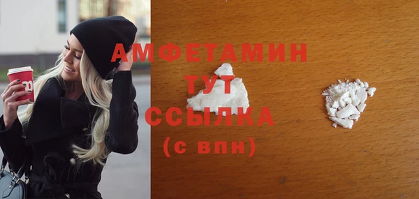 меф Ельня