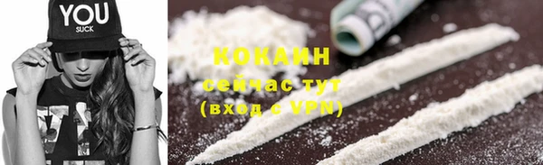 меф Ельня