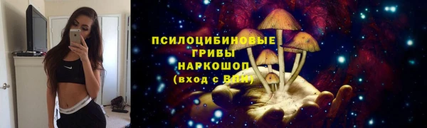 мет Елизово
