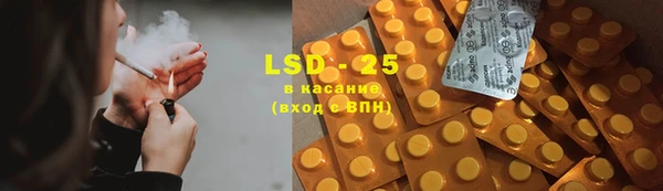 меф Ельня