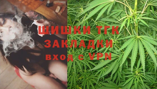 мет Елизово