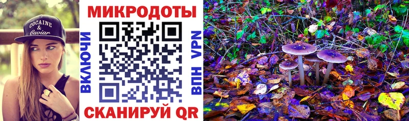 Купить закладки Зубцов Галлюциногенные грибы мухоморы